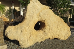 Coquina Rock with Hole